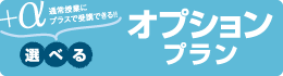 オプションプラン