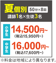 夏個別 1対3個別