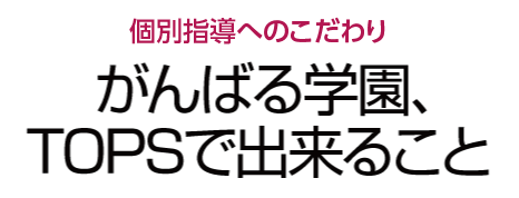 がんばる学園、TOPSで出来ること