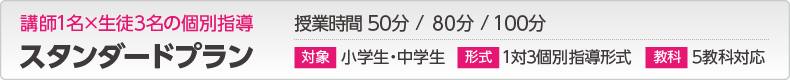 固定プラン