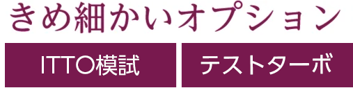 きめ細かいオプション