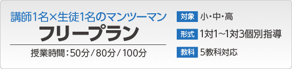 フリープラン